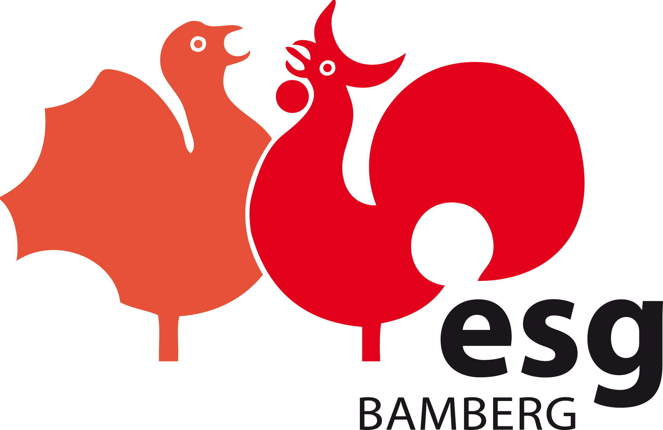 ESG Bamberg